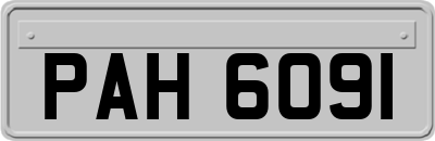 PAH6091