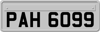 PAH6099