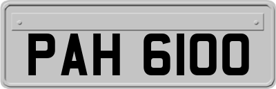 PAH6100
