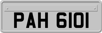PAH6101