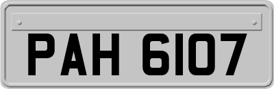 PAH6107