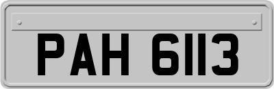 PAH6113