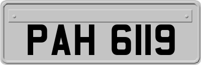 PAH6119