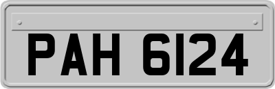 PAH6124