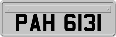 PAH6131