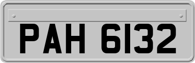 PAH6132