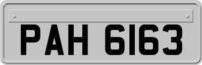 PAH6163