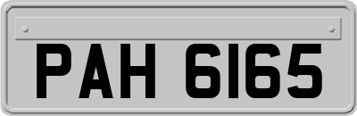PAH6165