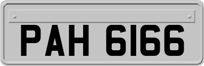 PAH6166