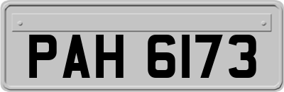 PAH6173