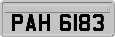 PAH6183