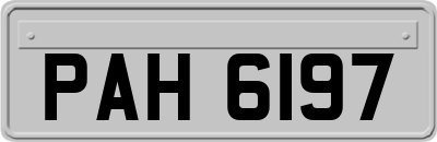PAH6197