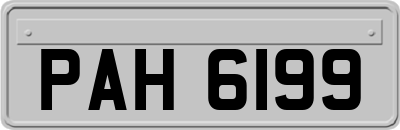 PAH6199