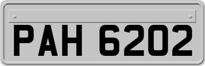 PAH6202