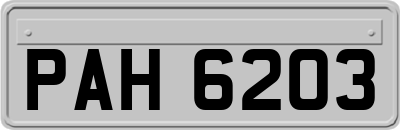PAH6203
