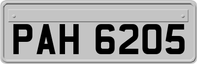 PAH6205