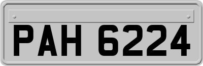 PAH6224