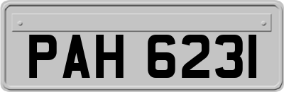 PAH6231