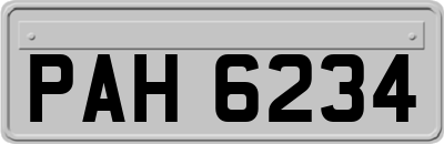 PAH6234