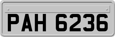PAH6236