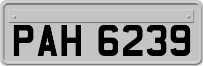 PAH6239
