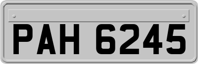 PAH6245