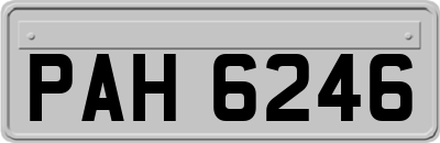 PAH6246