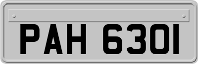 PAH6301