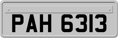PAH6313