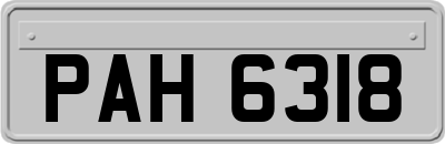 PAH6318