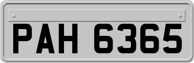 PAH6365