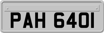 PAH6401