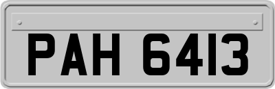 PAH6413