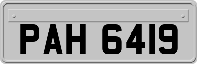 PAH6419