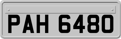 PAH6480