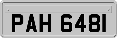 PAH6481