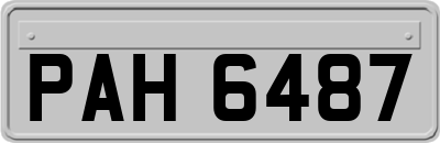 PAH6487