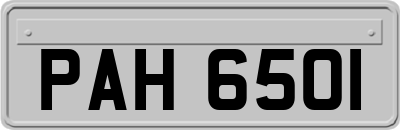 PAH6501