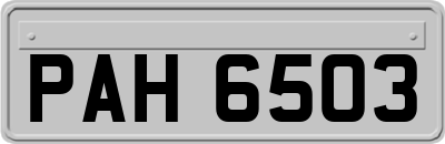PAH6503