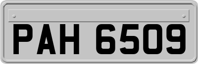 PAH6509