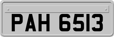 PAH6513
