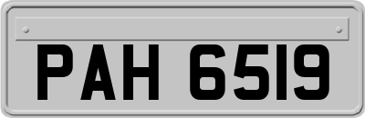 PAH6519