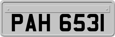PAH6531