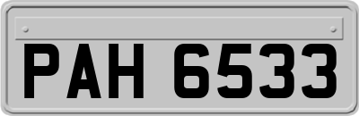 PAH6533