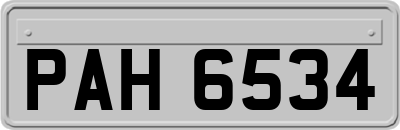 PAH6534