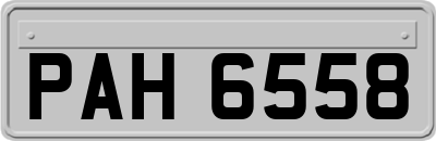 PAH6558