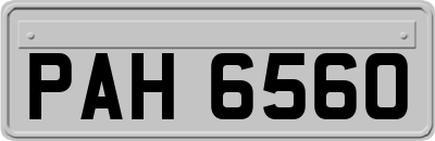 PAH6560