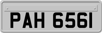 PAH6561
