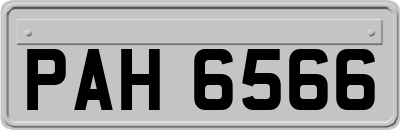 PAH6566