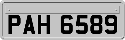 PAH6589